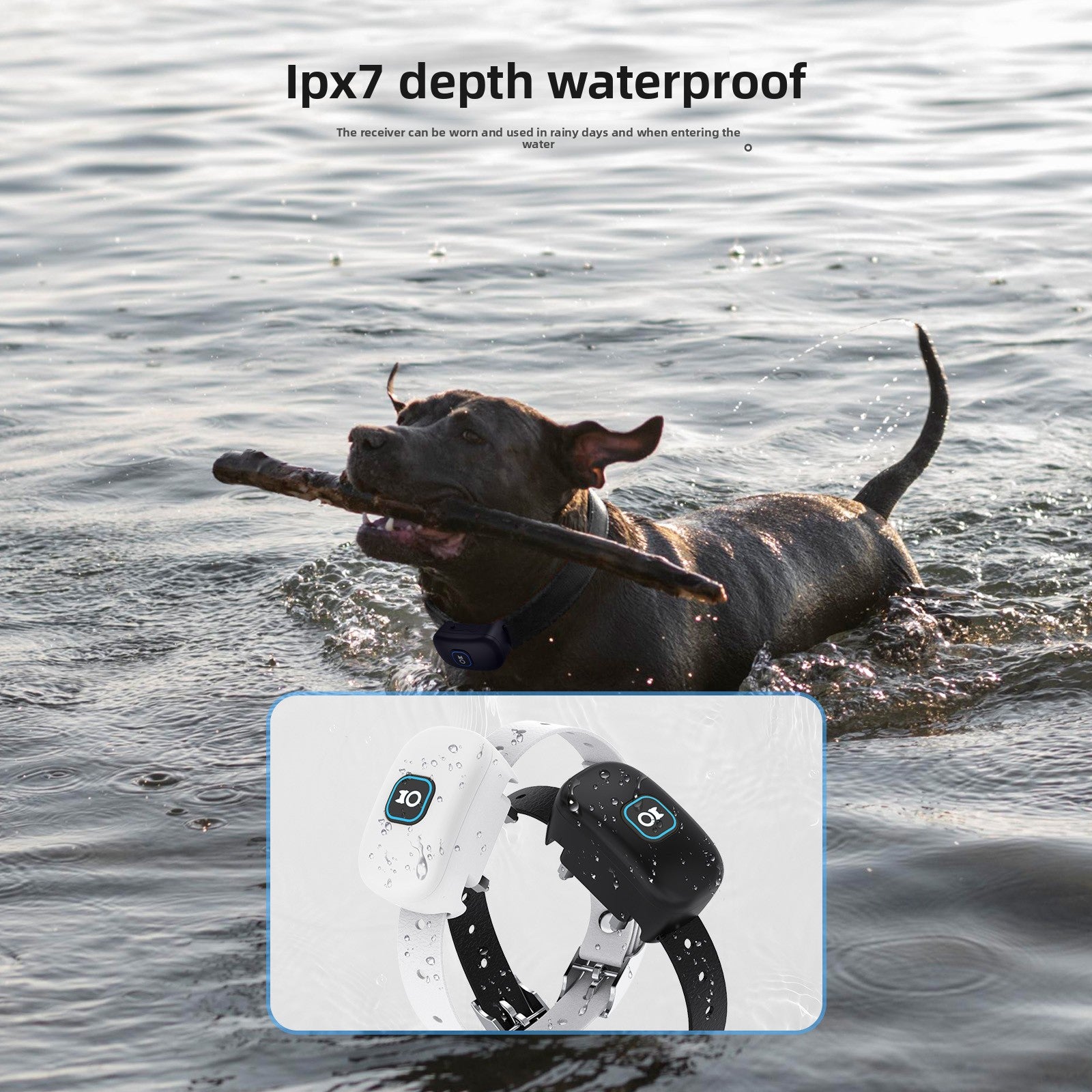 Dog Training Collar