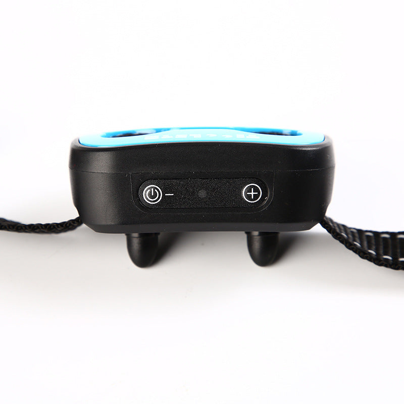 Dog Training Collar