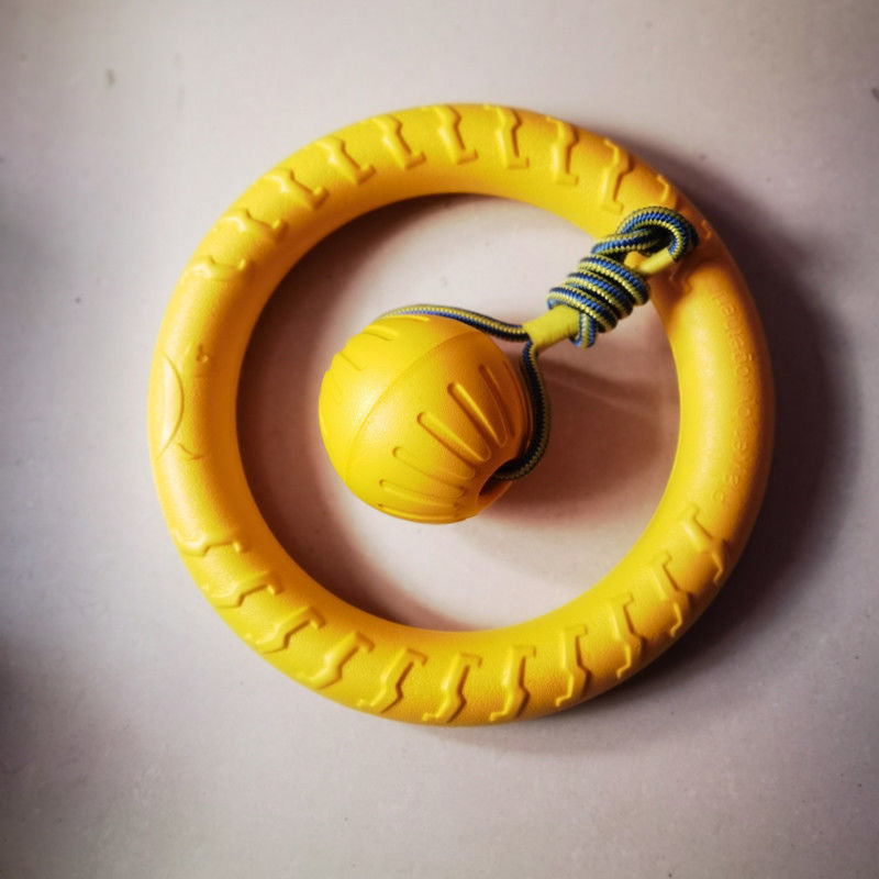 Dog training toy balls, frisbees, border Collies, Golden Retrievers, and medium to large-sized dogs