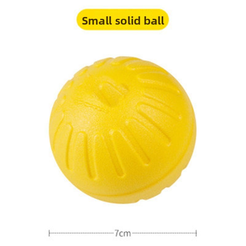 Dog training toy balls, frisbees, border Collies, Golden Retrievers, and medium to large-sized dogs
