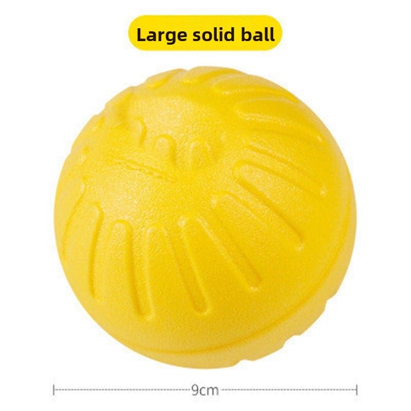 Dog training toy balls, frisbees, border Collies, Golden Retrievers, and medium to large-sized dogs