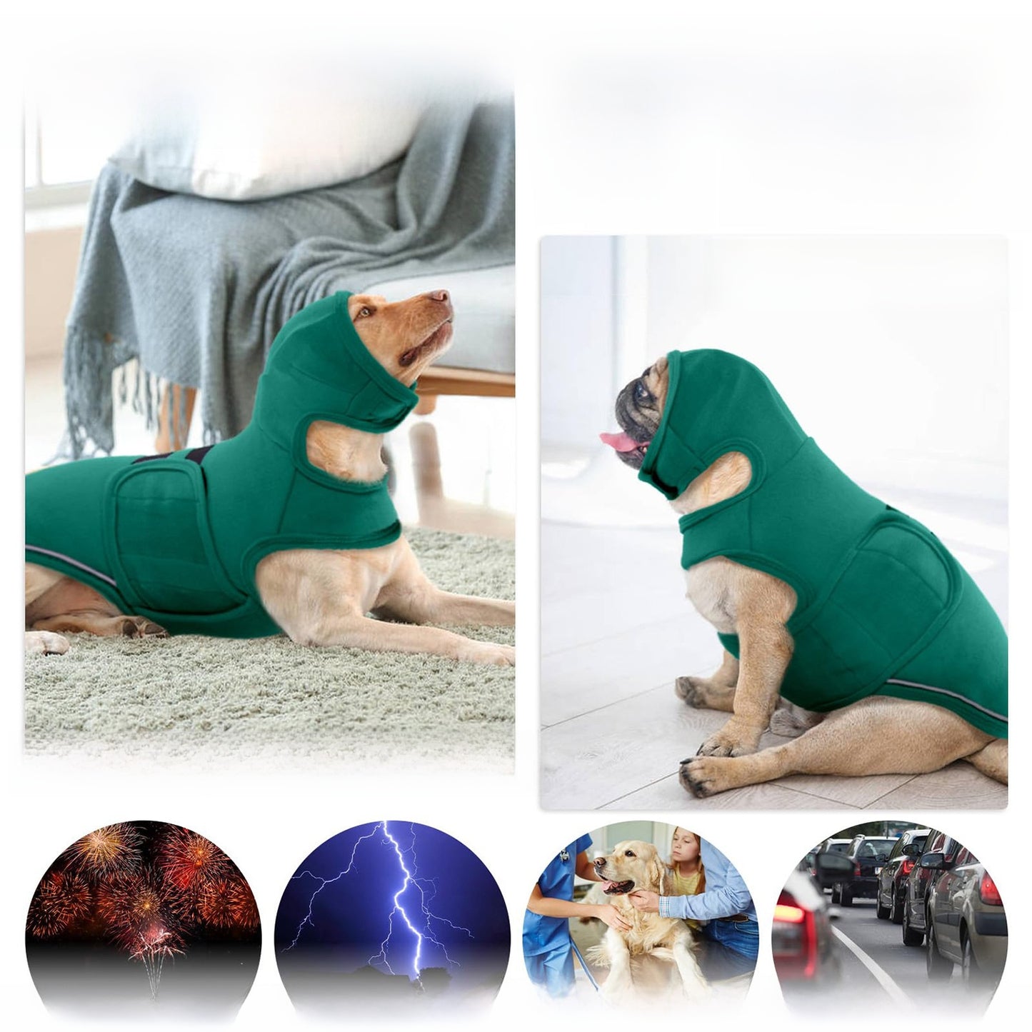 dog vest