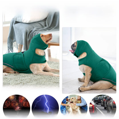 dog vest