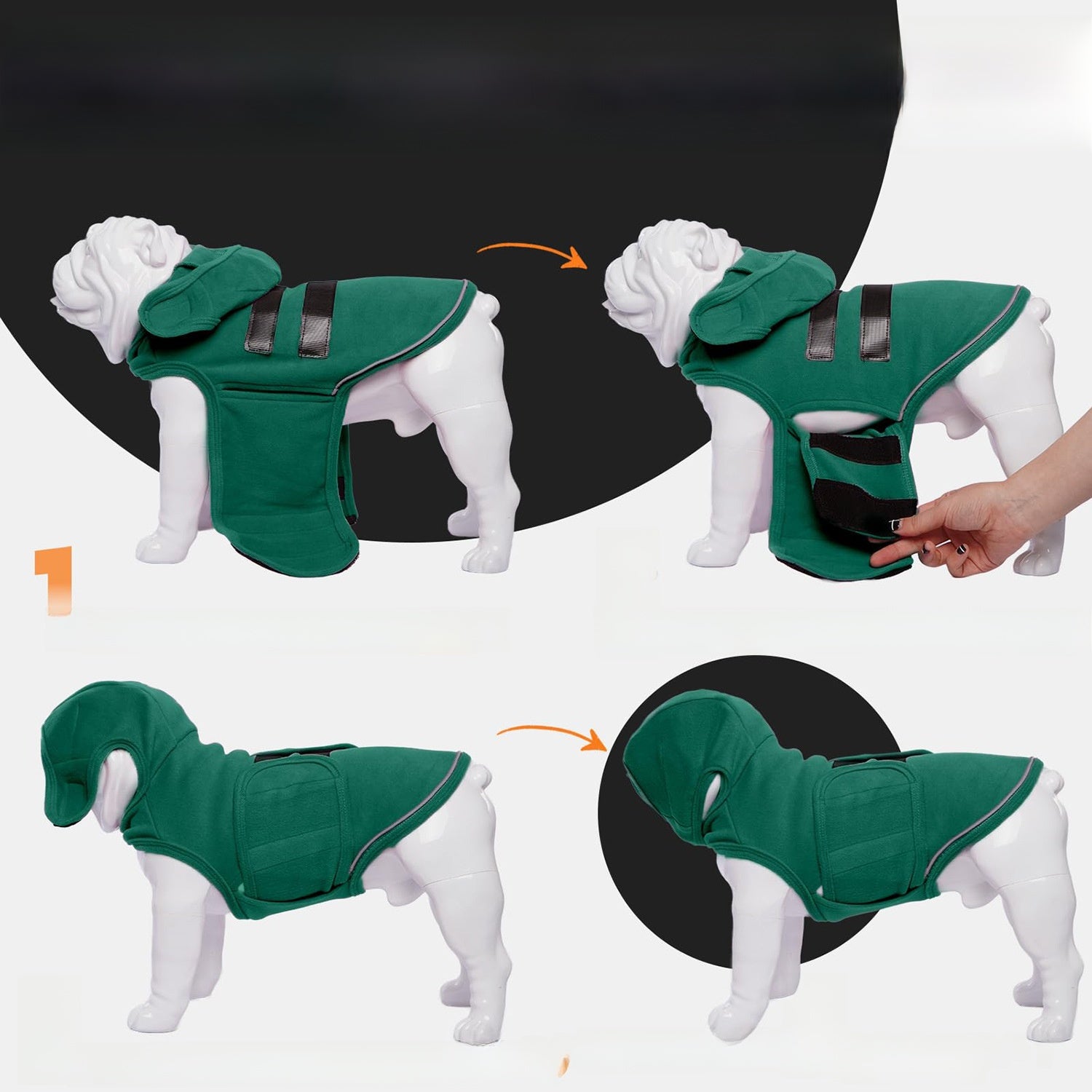 dog vest