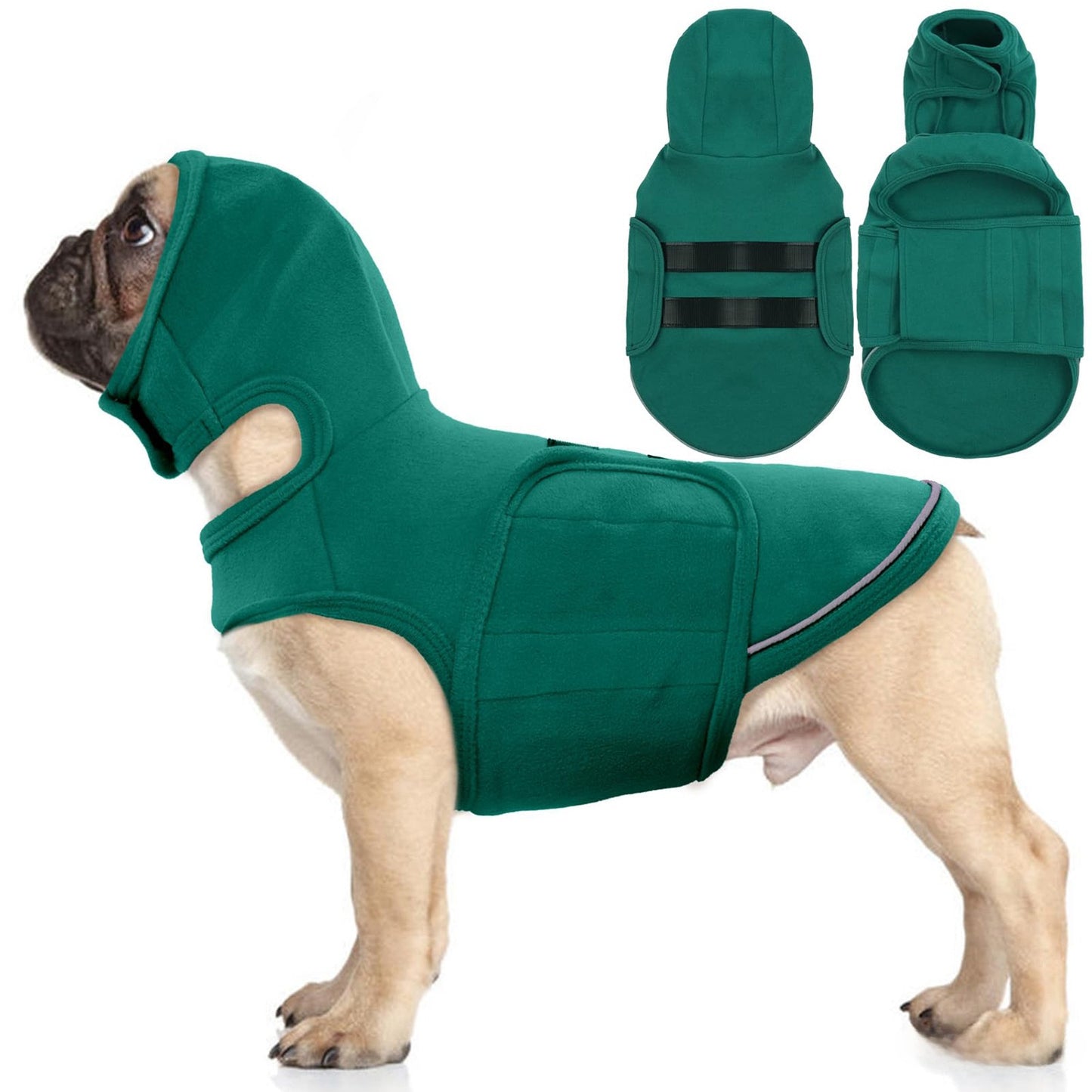 dog vest