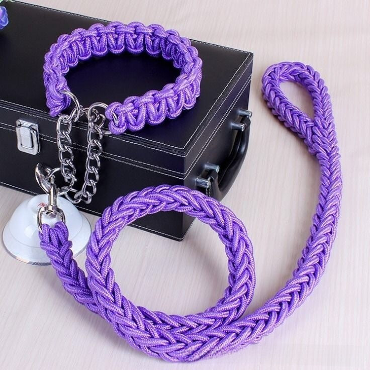 Dog Walking Leash