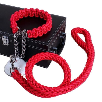 Dog Walking Leash