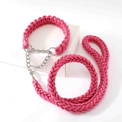 Dog Walking Leash
