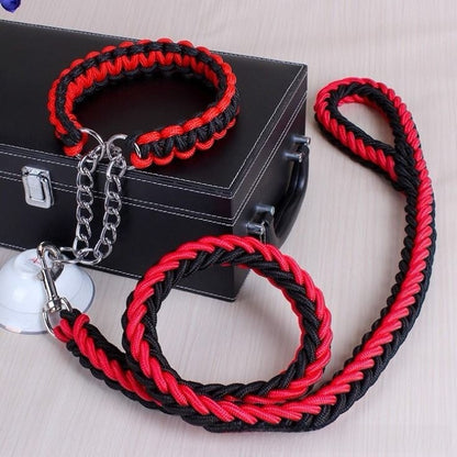 Dog Walking Leash