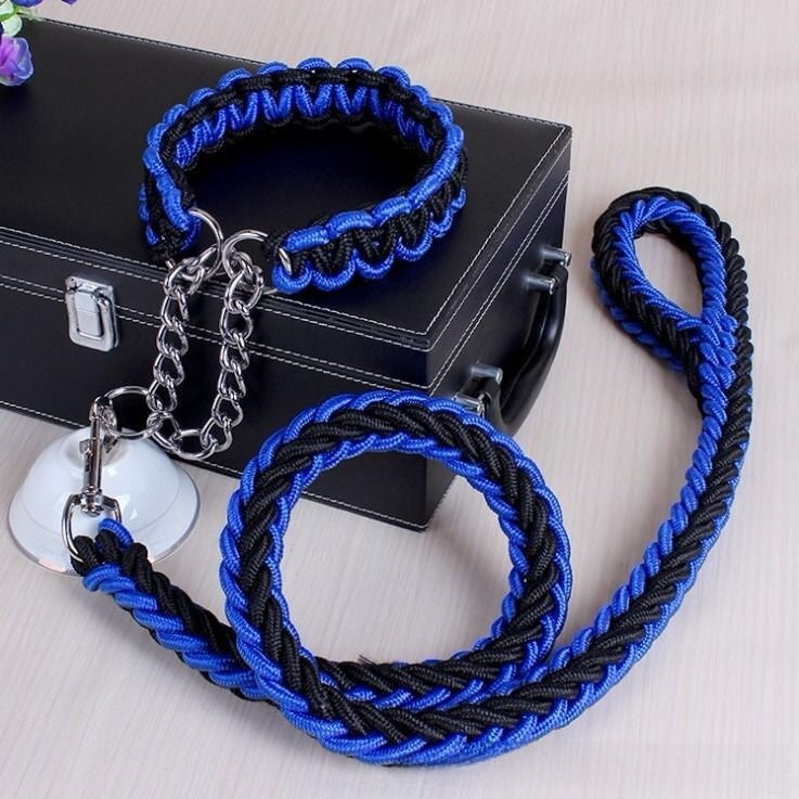 Dog Walking Leash