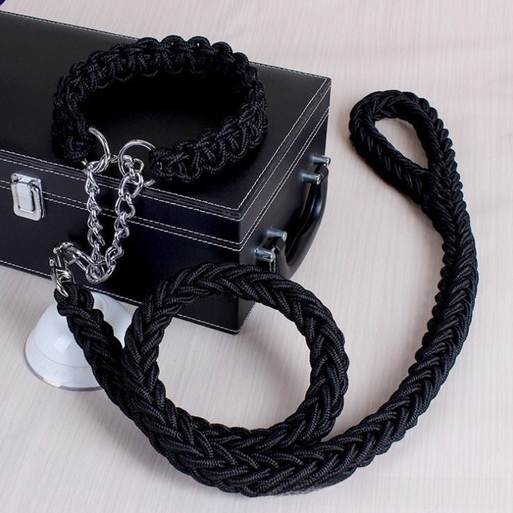 Dog Walking Leash