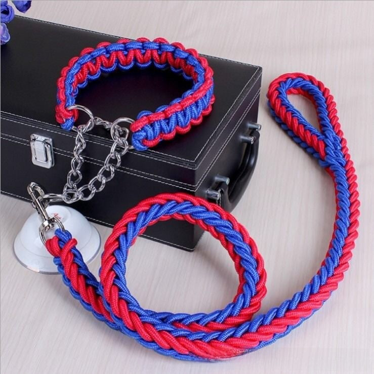 Dog Walking Leash