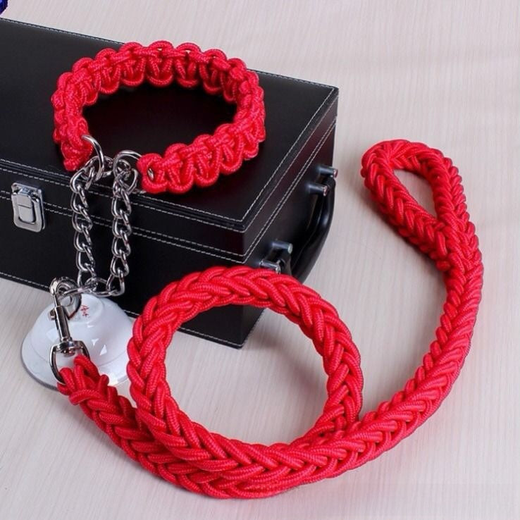 Dog Walking Leash