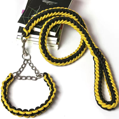 Dog Walking Leash