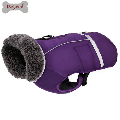 Dog Winter Coat