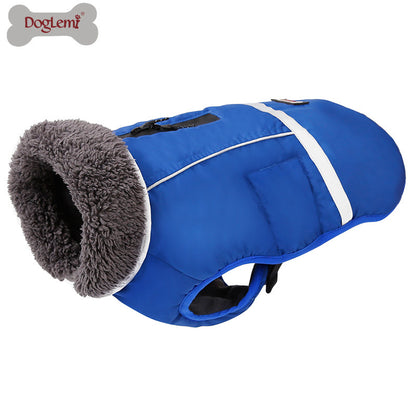 Dog Winter Coat