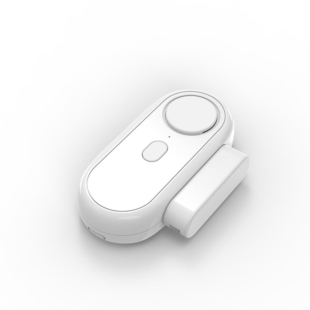 Door and window alarm