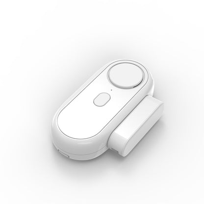 Door and window alarm