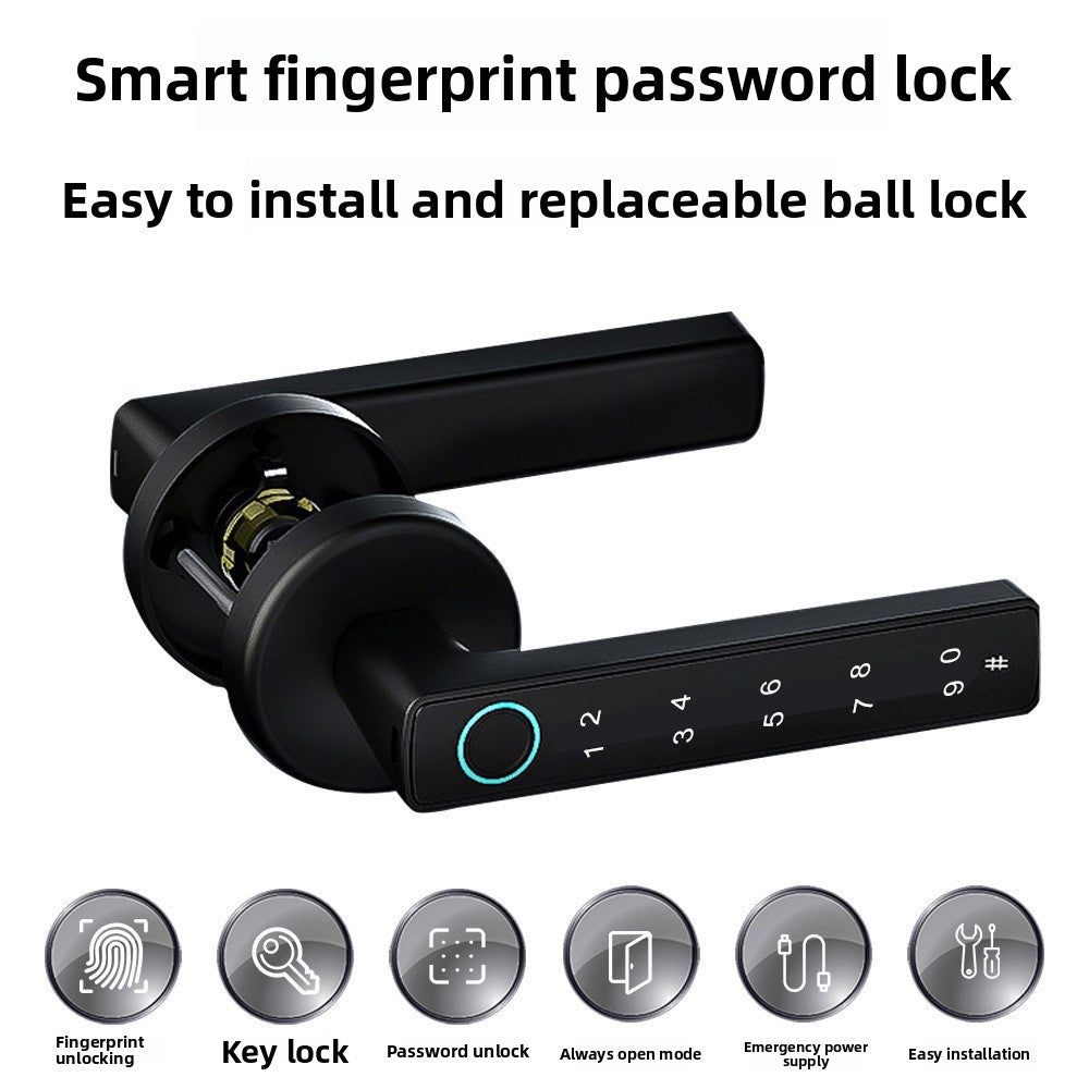 Door handle with fingerprint lock