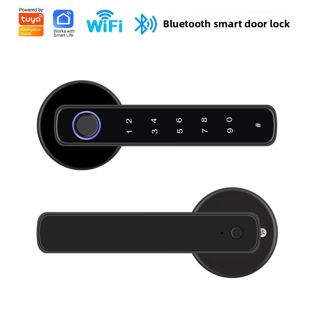 Door handle with fingerprint lock