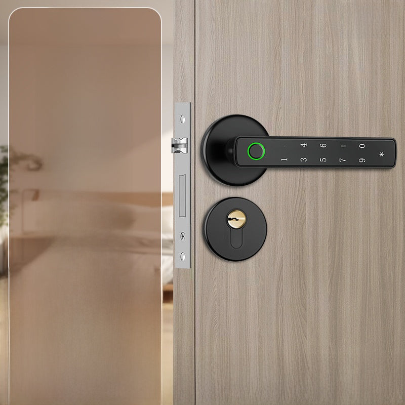 Door handle with fingerprint lock