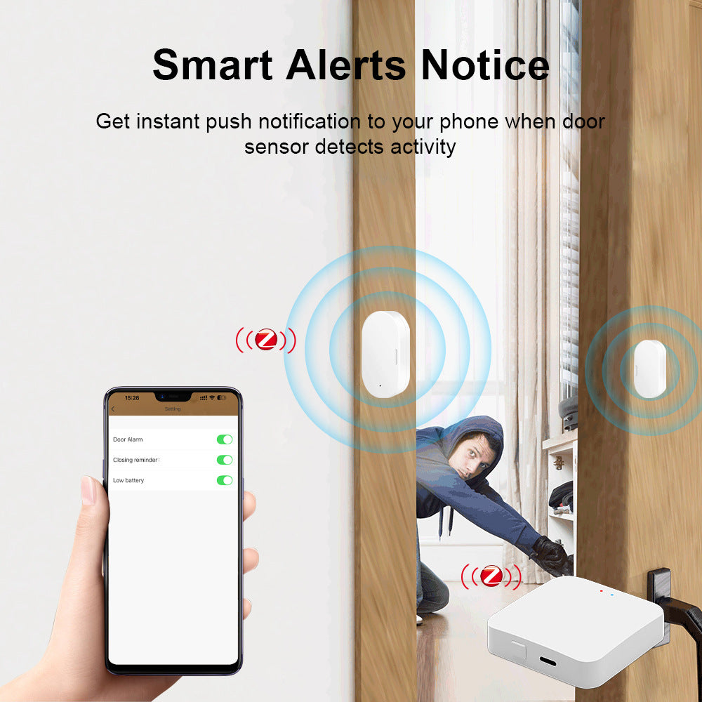 Door Magnetic Sensor