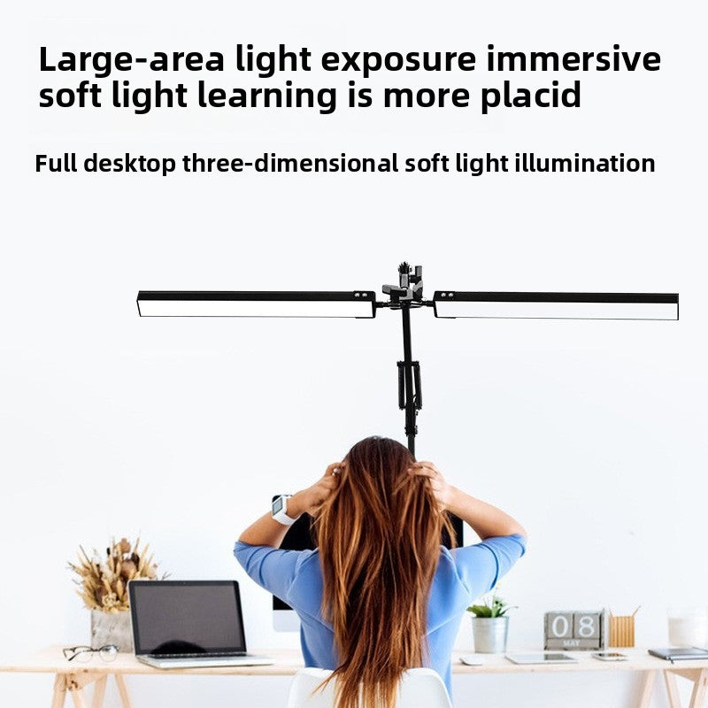 Double-headed long-arm clamp desk lamp