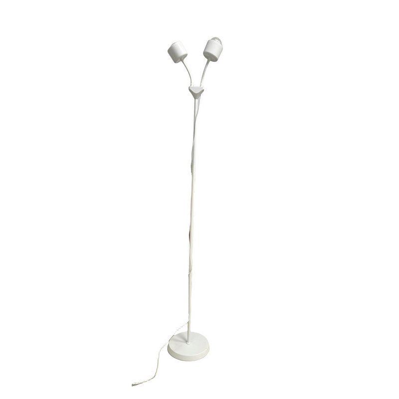 Double-headed water ripple ambient light with adjustable brightness