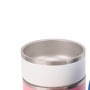 Double Layer Stainless Steel Pet Feeding Bowl