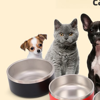 Double Layer Stainless Steel Pet Feeding Bowl