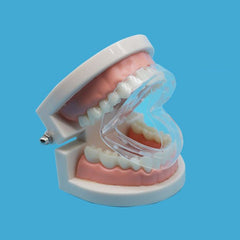 Blue Plastic Box EVABlueTray OPPBag