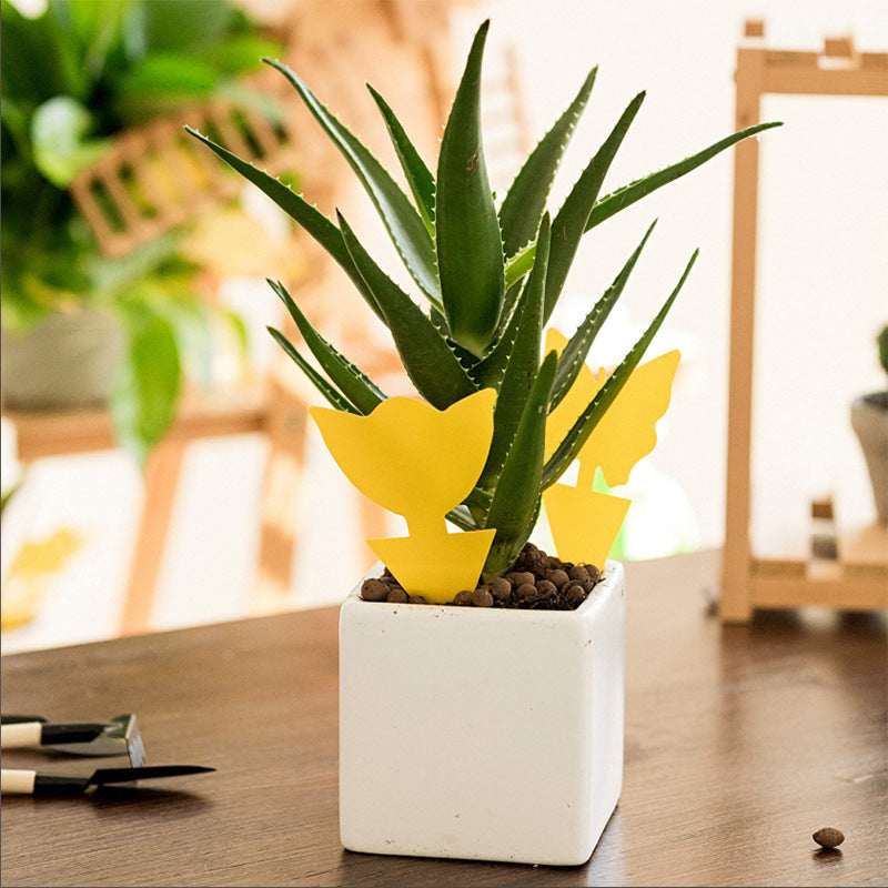 Double-sided insect sticky traps