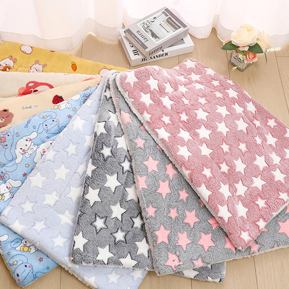 Double-sided pet pad