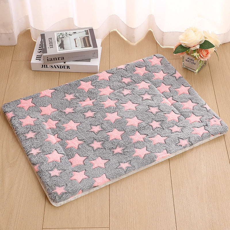 Double-sided pet pad