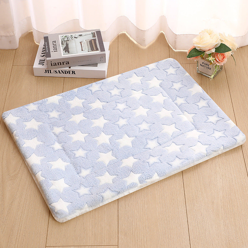 Double-sided pet pad