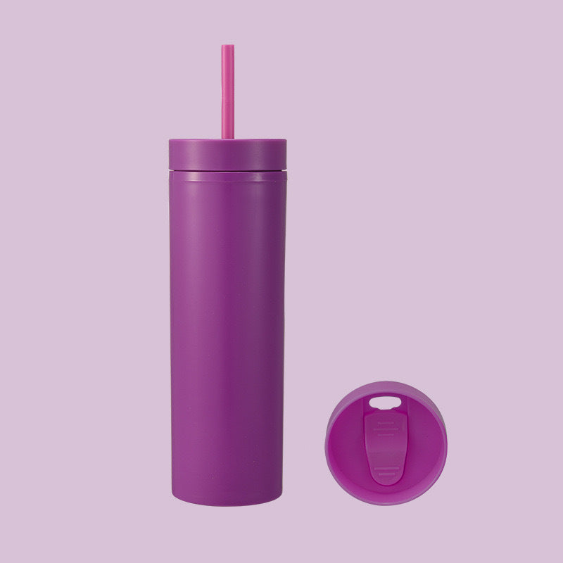 Double Wall Insulated Plastic Cup with Straw