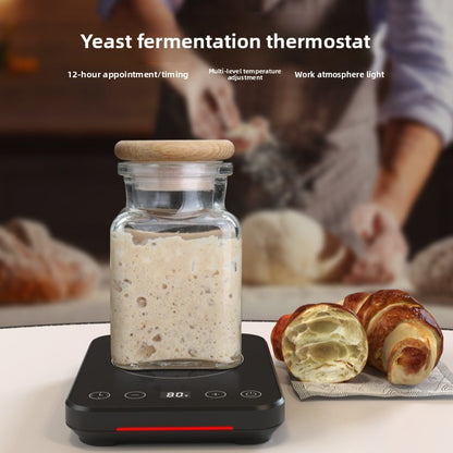 Dough fermentation artifact