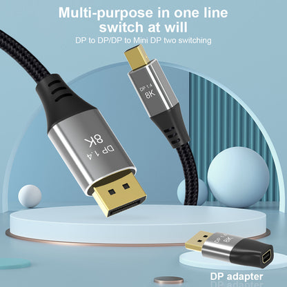 DP adapter