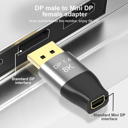 DP adapter