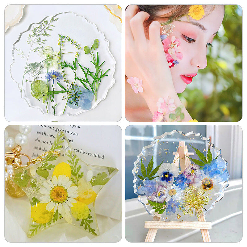 Dried Flower Assortment for DIY Crafting