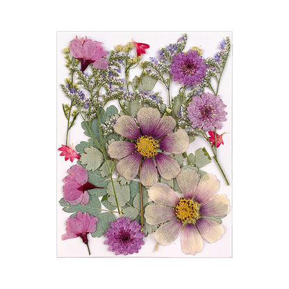 Dried Flower Assortment for DIY Crafting