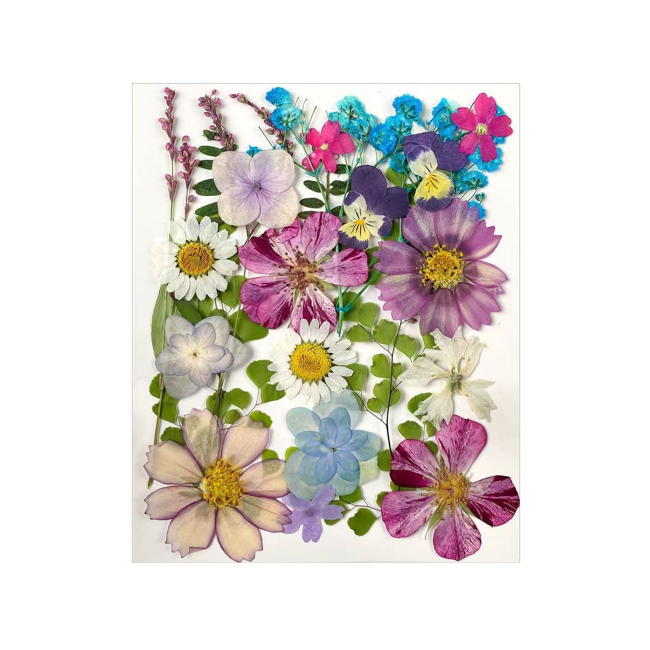 Dried Flower Assortment for DIY Crafting