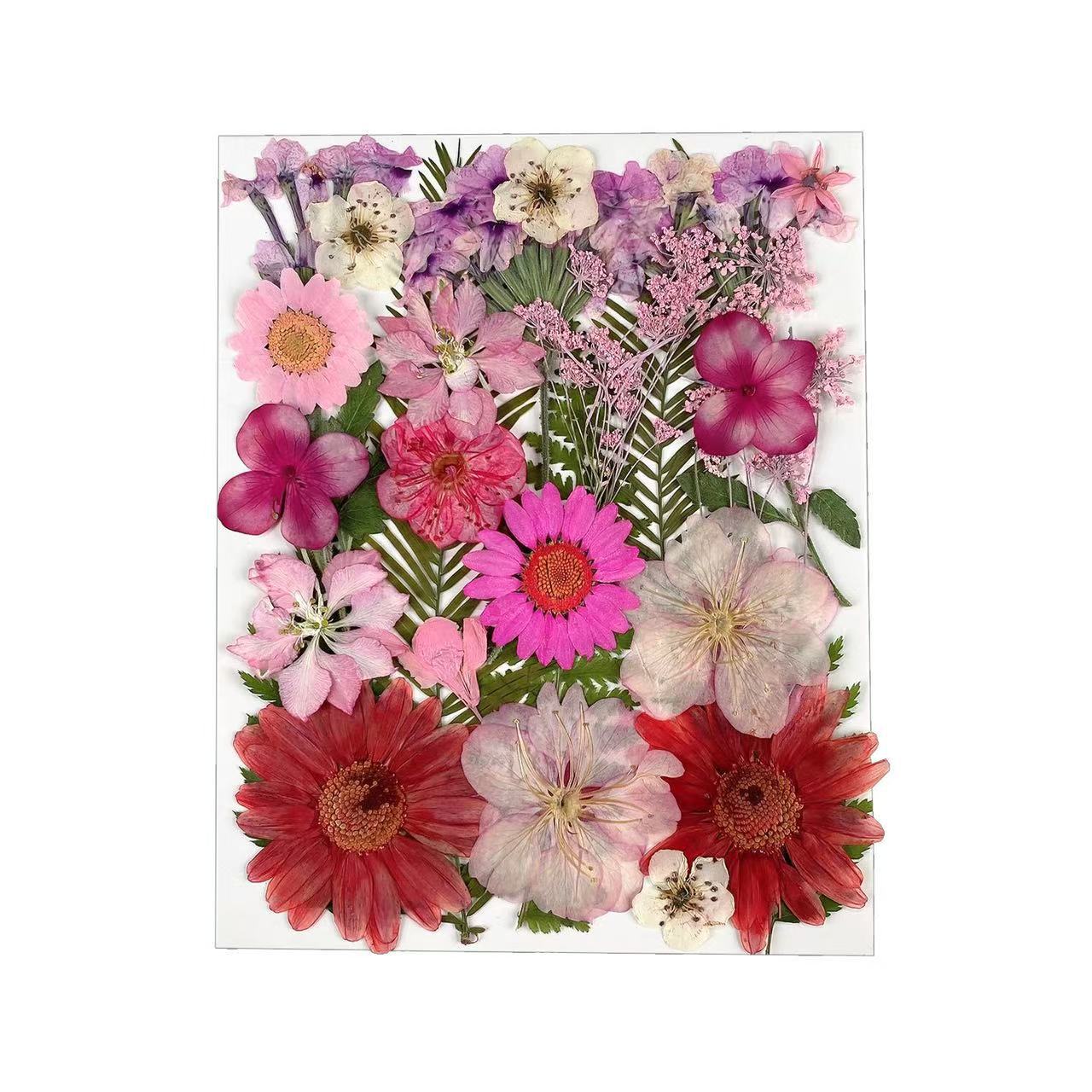Dried Flower Assortment for DIY Crafting