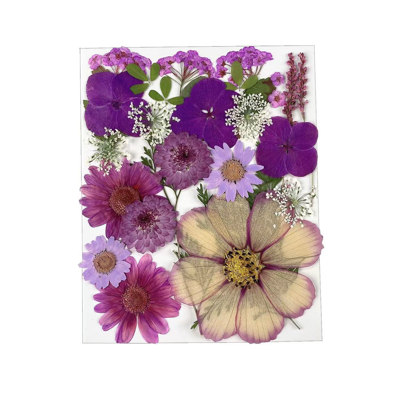 Dried Flower Assortment for DIY Crafting