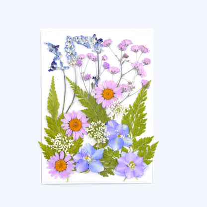 Dried Flower Assortment for DIY Crafting