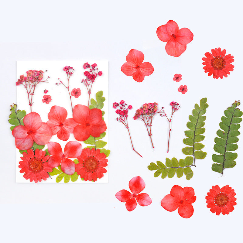 Dried Flower Assortment for DIY Crafting