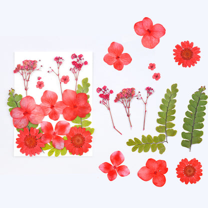 Dried Flower Assortment for DIY Crafting