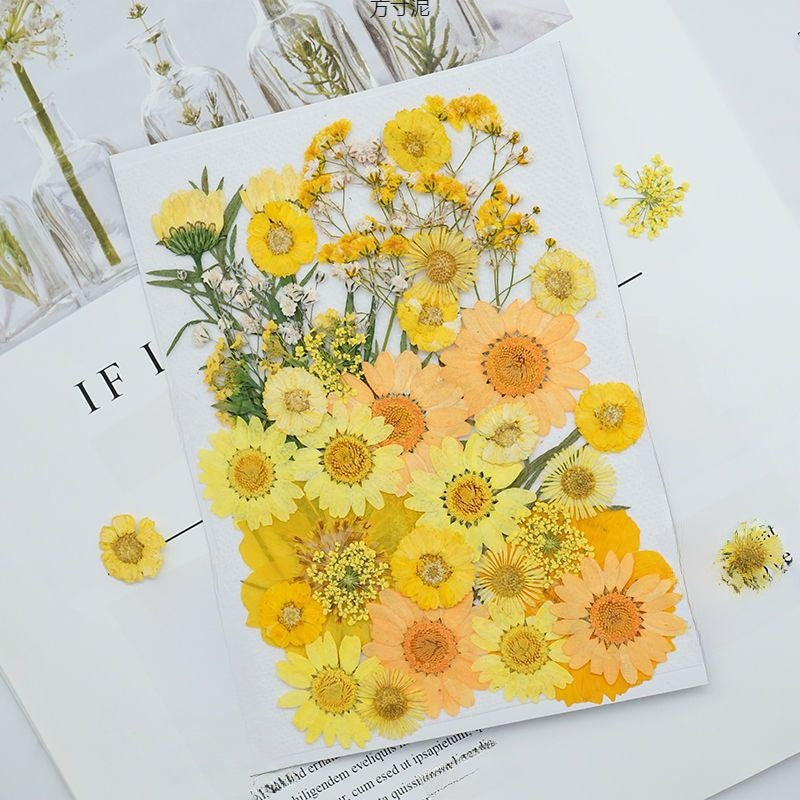 Dried Flower Craft Sets for DIY Art