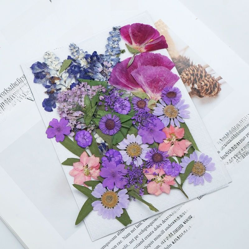 Dried Flower Craft Sets for DIY Art