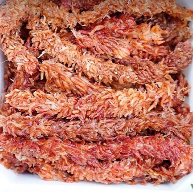 Dried Moss